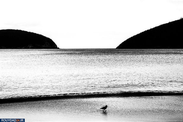 عکاسی از طبیعت