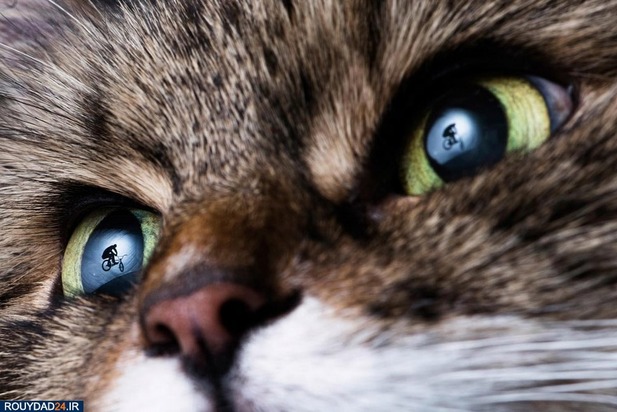 ورزشهای مهیج و ماجراجویانه