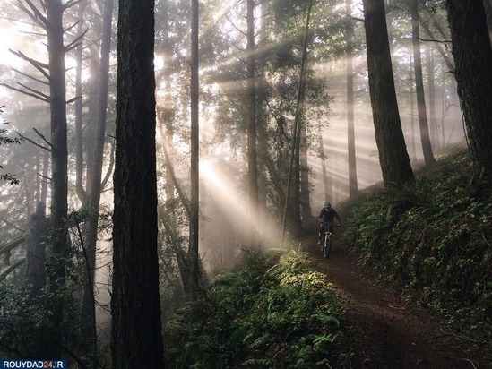 ورزشهای مهیج و ماجراجویانه