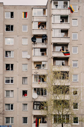 هنرنمایی در حیاط قرنطینه