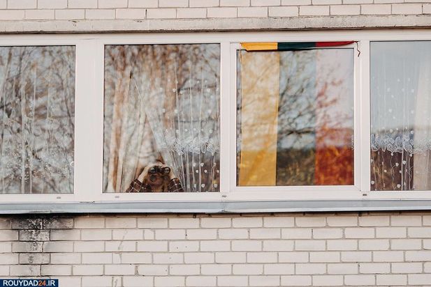 هنرنمایی در حیاط قرنطینه