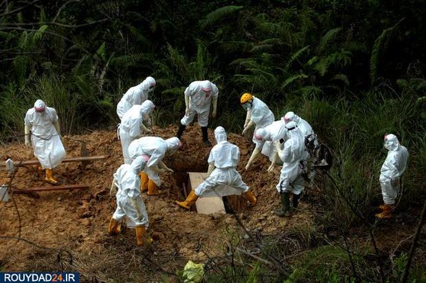 جهان داغدار جانباختگان کرونا