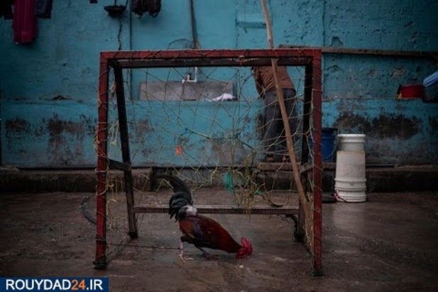 کرونا در زندان