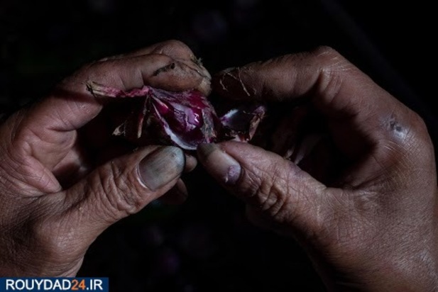 کرونا در زندان