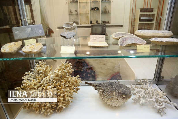 کاخ نیاوران