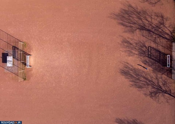 زمینهای چمن 