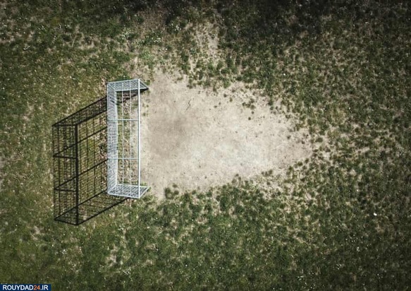 زمینهای چمن 