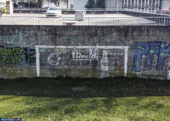 زمینهای چمن 