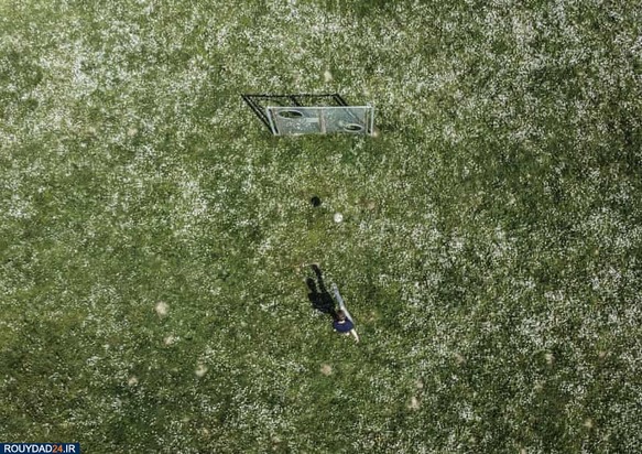 زمینهای چمن 