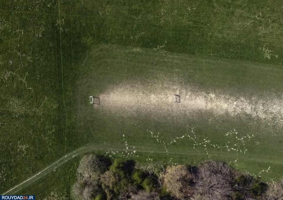 زمینهای چمن 