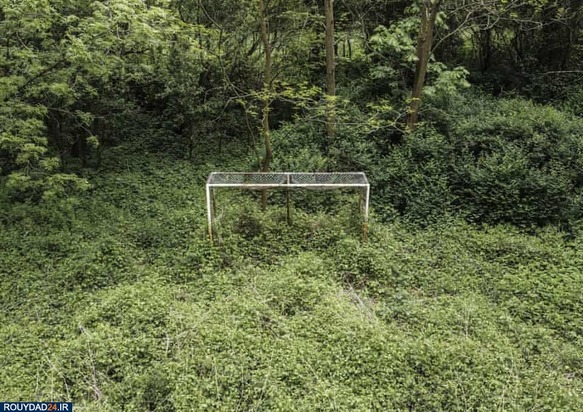 زمینهای چمن 