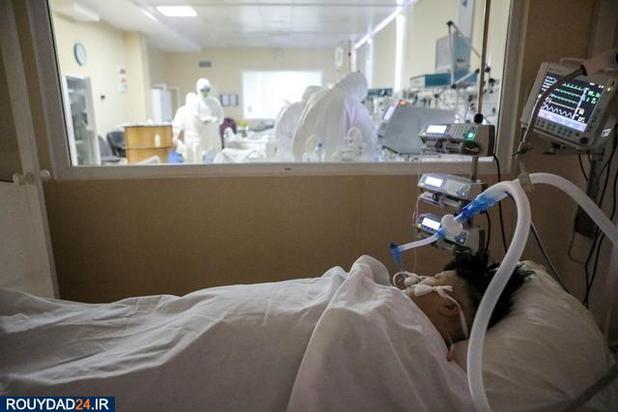 کرونا در روسیه