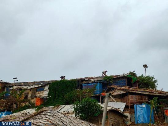 طوفان تاریخی هند و بنگلادش