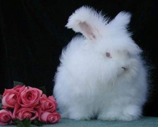 تصاویر دیدنی