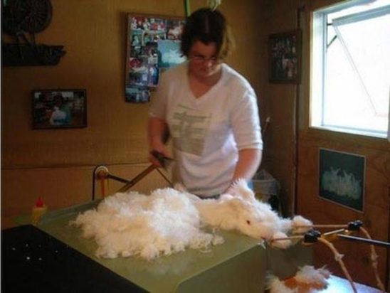 تصاویر دیدنی