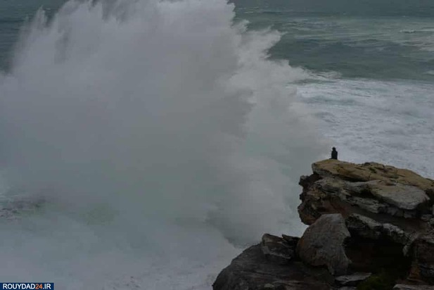 موجسواری بر سواحل سیدنی