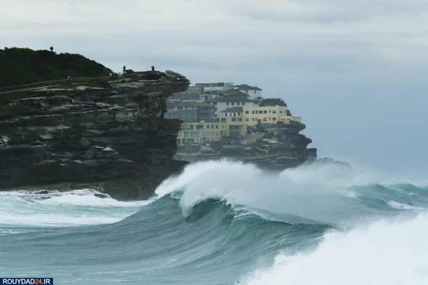 موجسواری بر سواحل سیدنی