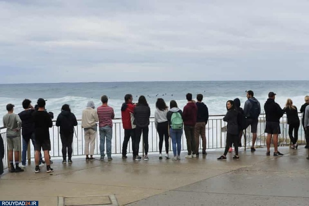 موجسواری بر سواحل سیدنی