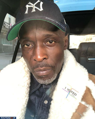 زخمهای سلبها