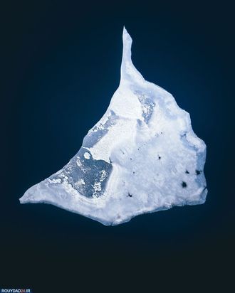 زمین در یک نگاه