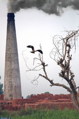 زمین در یک نگاه