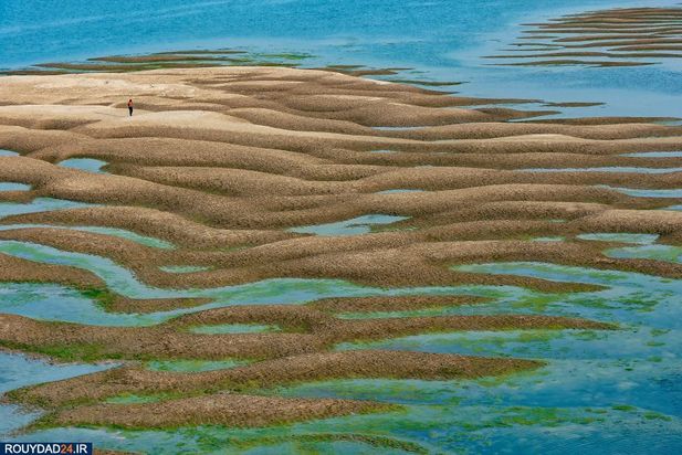 زمین در یک نگاه