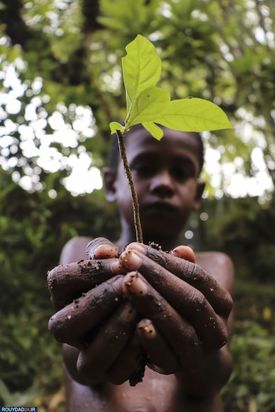 زمین در یک نگاه