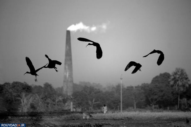 زمین در یک نگاه