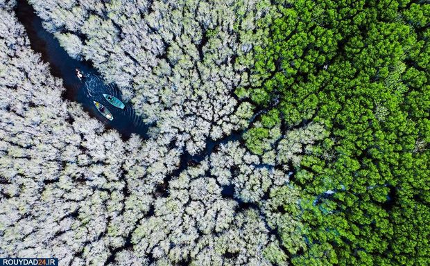 زمین در یک نگاه