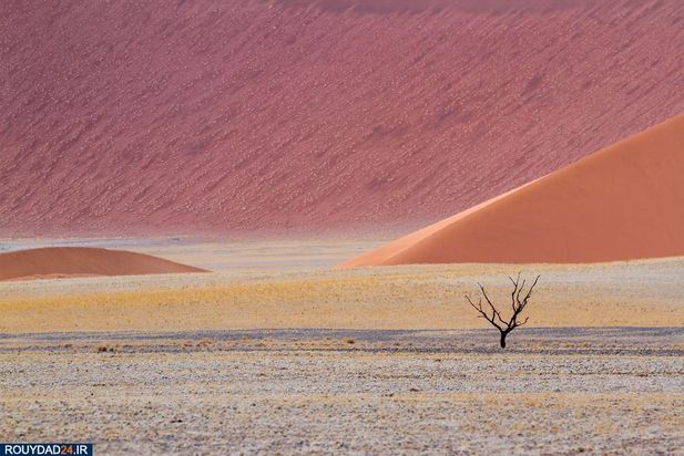 زمین در یک نگاه