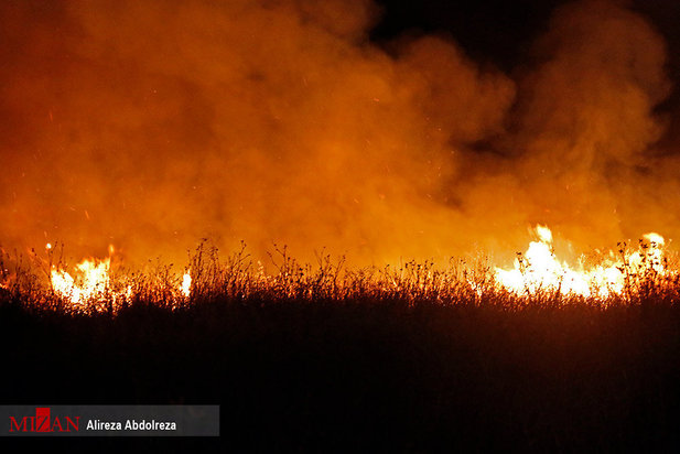 آتش سوزی بوستان ولایت