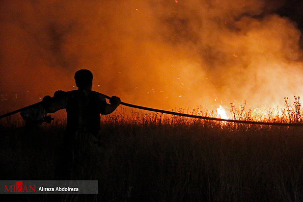 آتش سوزی بوستان ولایت
