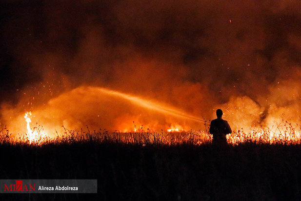 آتش سوزی بوستان ولایت