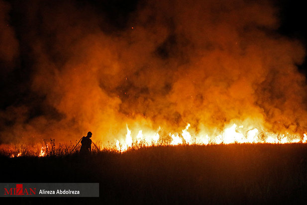 آتش سوزی بوستان ولایت