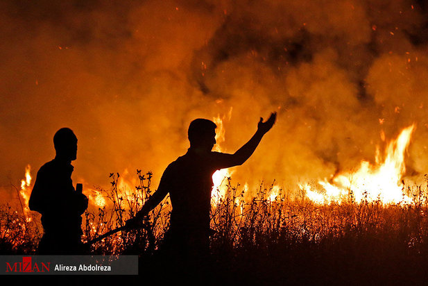 آتش سوزی بوستان ولایت
