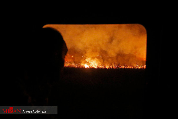 آتش سوزی بوستان ولایت