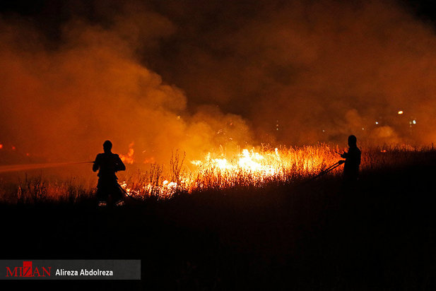 آتش سوزی بوستان ولایت