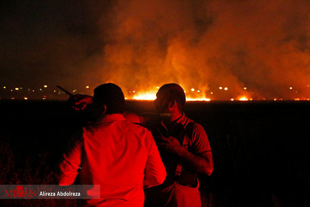 آتش سوزی بوستان ولایت