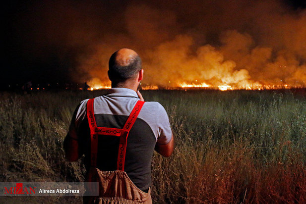 آتش سوزی بوستان ولایت