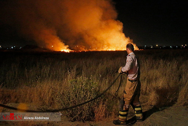 آتش سوزی بوستان ولایت