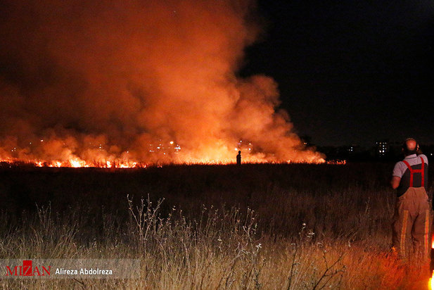 آتش سوزی بوستان ولایت