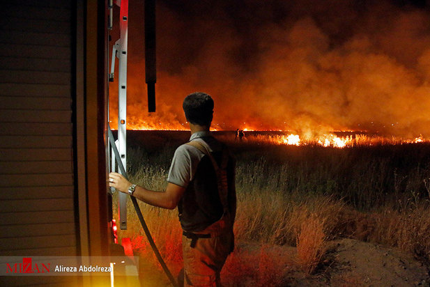 آتش سوزی بوستان ولایت