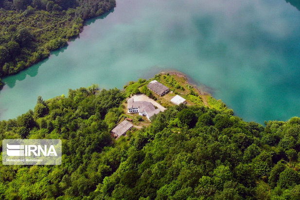 جنگلهای هیرکانی