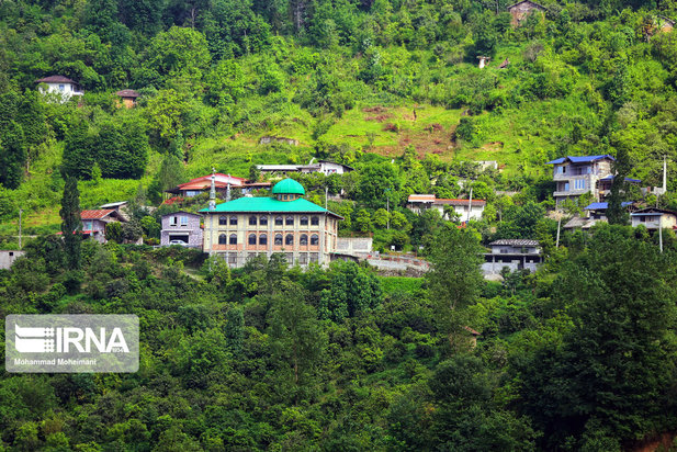 جنگلهای هیرکانی