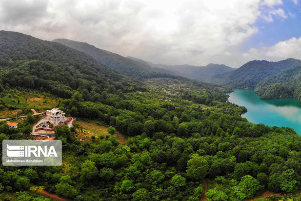 جنگلهای هیرکانی