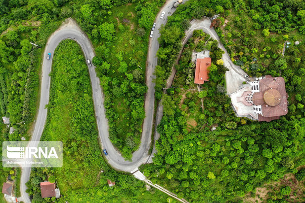 جنگلهای هیرکانی