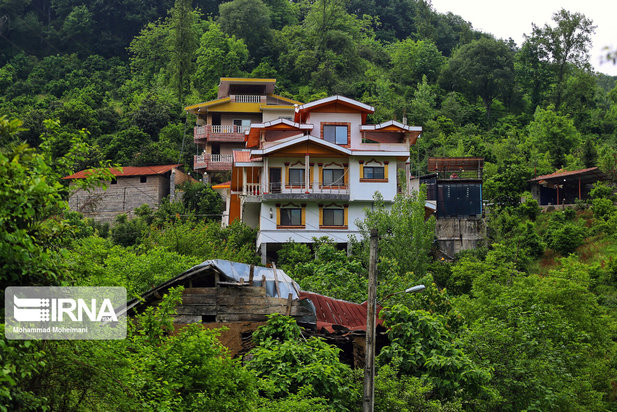 جنگلهای هیرکانی