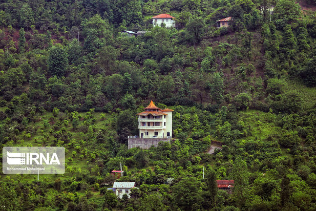 جنگلهای هیرکانی