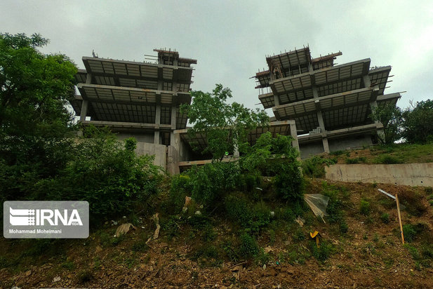 جنگلهای هیرکانی