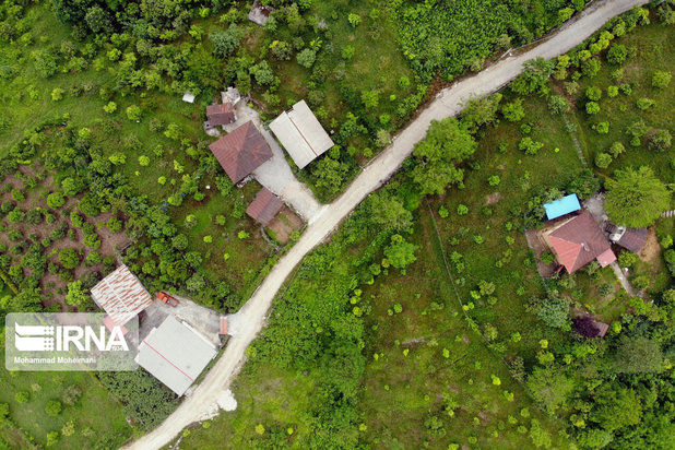 جنگلهای هیرکانی